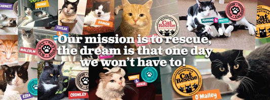 Supporting Mansfield Cat Rescue: Every Purchase Helps a Cat in Need
