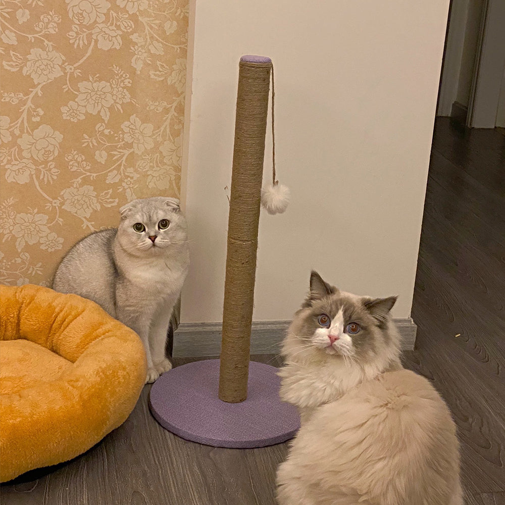 Sisal Rope Cat Scratching Post 64cm