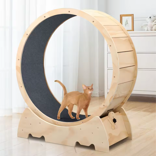 The Cat Life Solid Wooden Cat Exercise Wheel