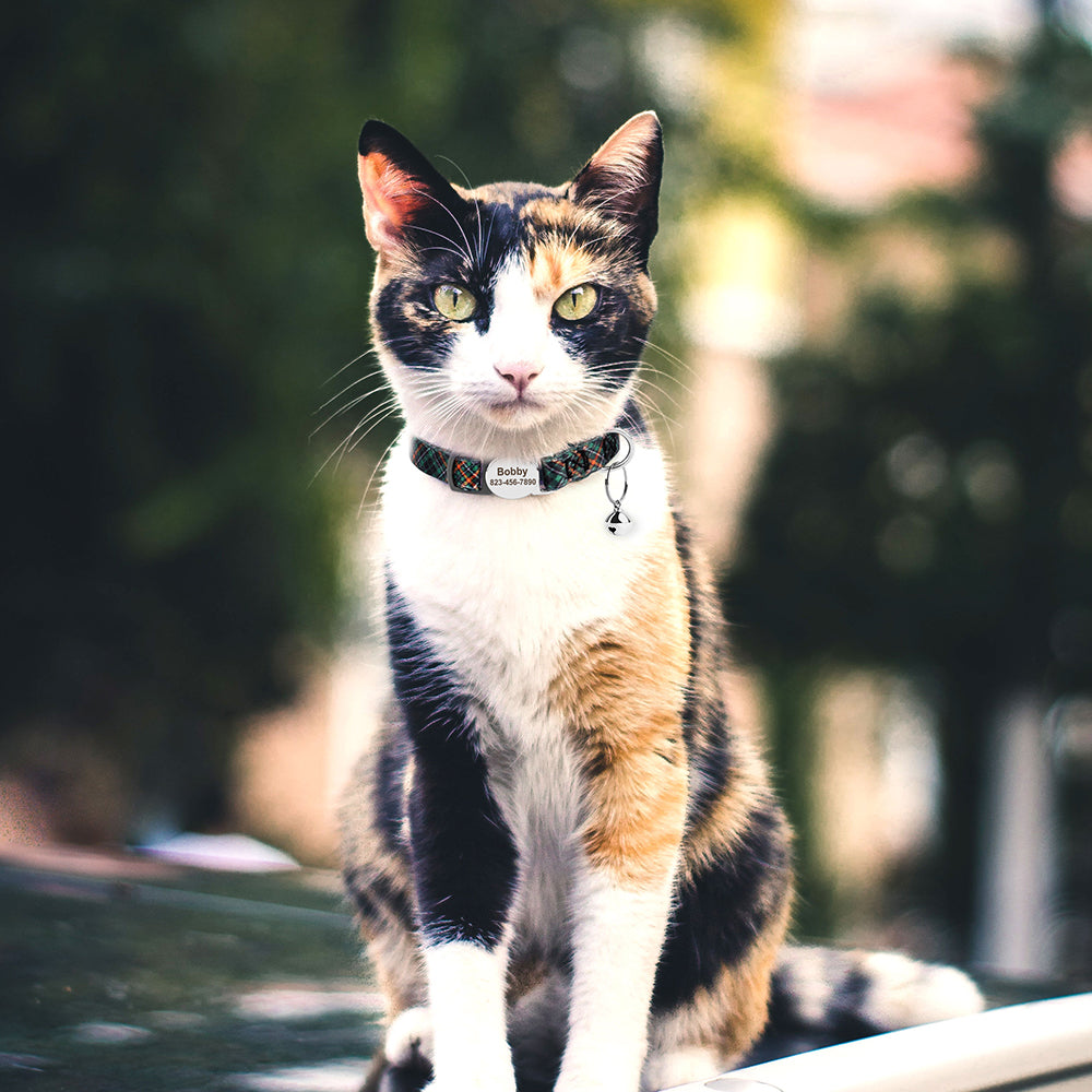 Personalized Cat Collar