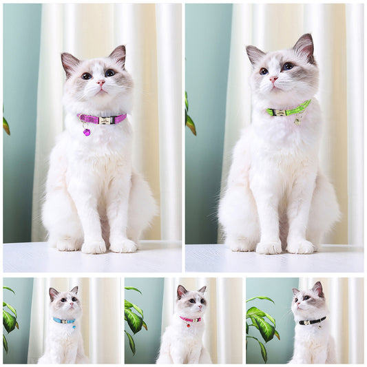 Personalized Cat Collar