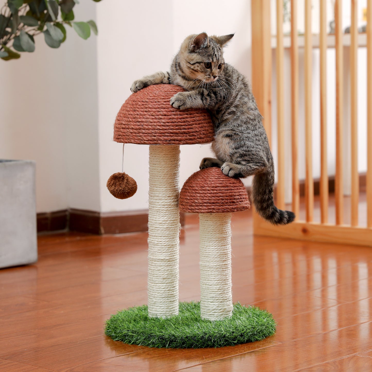 Mushroom Styling Cat Tree - Free Delivery!