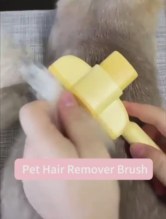 The Ultimate Grooming Brush