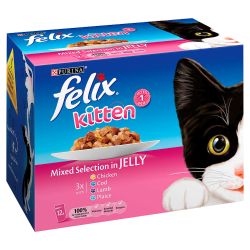 Felix Kitten Mixed Selection in Jelly 12 Pack