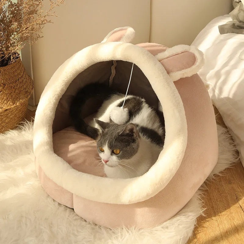 The Cat Cave