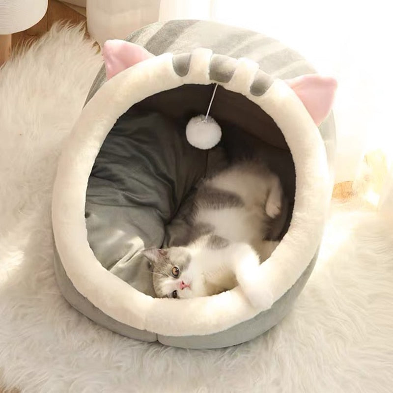 The Cat Cave